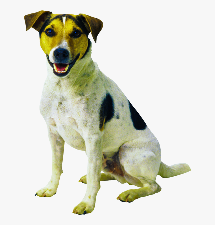 Animals Clipart Png,cartoon Animals Png,cute Animal - Dog Png, Transparent Png