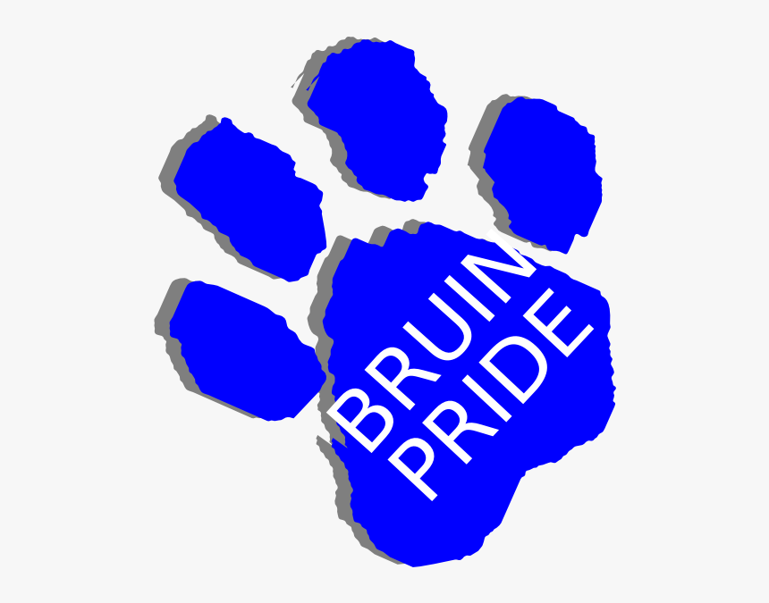 Bobcat Clipart Paw Print - Bruin Bear Clip Art, HD Png Download