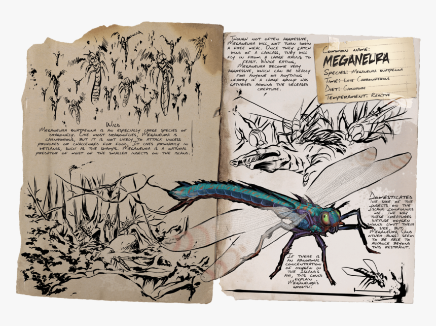 Ark Survival Evolved Pages, HD Png Download