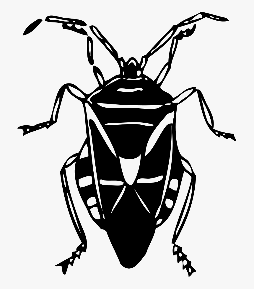 Lightning Bug Buddy Clipart, Vector Clip Art Online, - Free Clipart Black And White Bug, HD Png Download