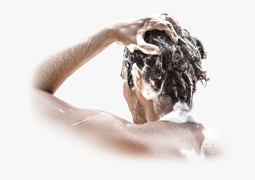 Shampoo, HD Png Download
