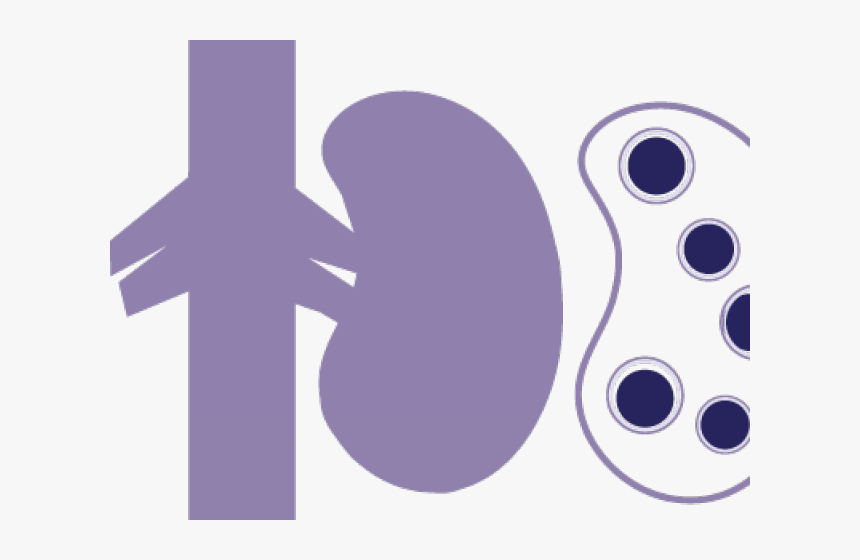 Doctor Symbol Clipart Transplant - Cross, HD Png Download