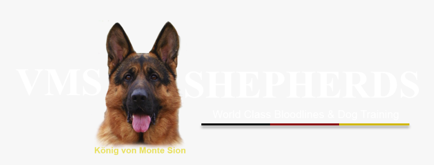 Transparent German Shepherd Puppy Png - Old German Shepherd Dog, Png Download