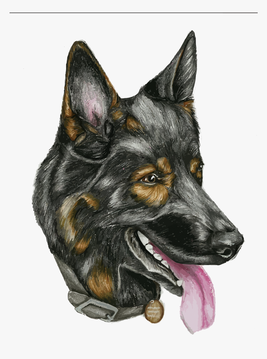 Head Dog Vector Png, Transparent Png