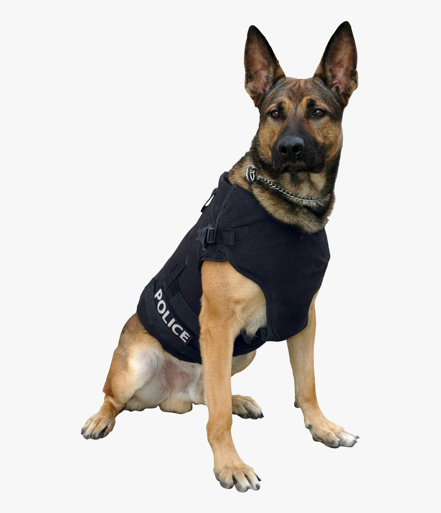 German Shepherd Png, Transparent Png