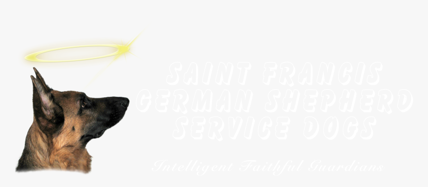 German Shepherd Service Dog, HD Png Download