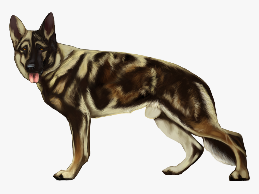German Shepherd Puppy Png, Transparent Png