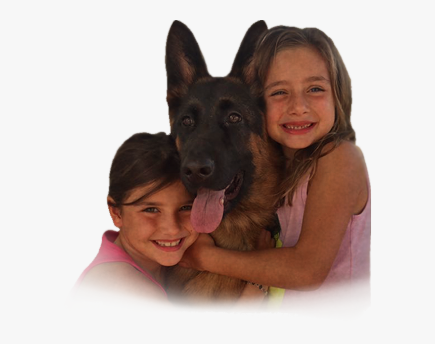 Old German Shepherd Dog, HD Png Download