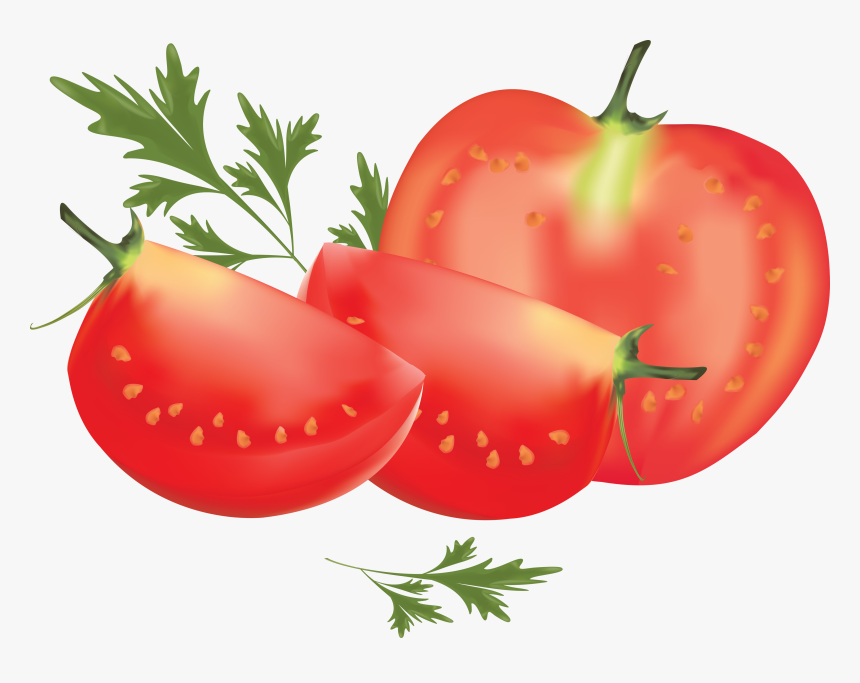 Tomato Png - Transparent Background Tomatoes Clipart, Png Download