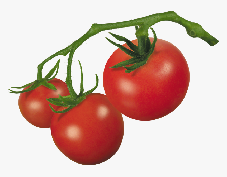 Tomato Clipart, HD Png Download