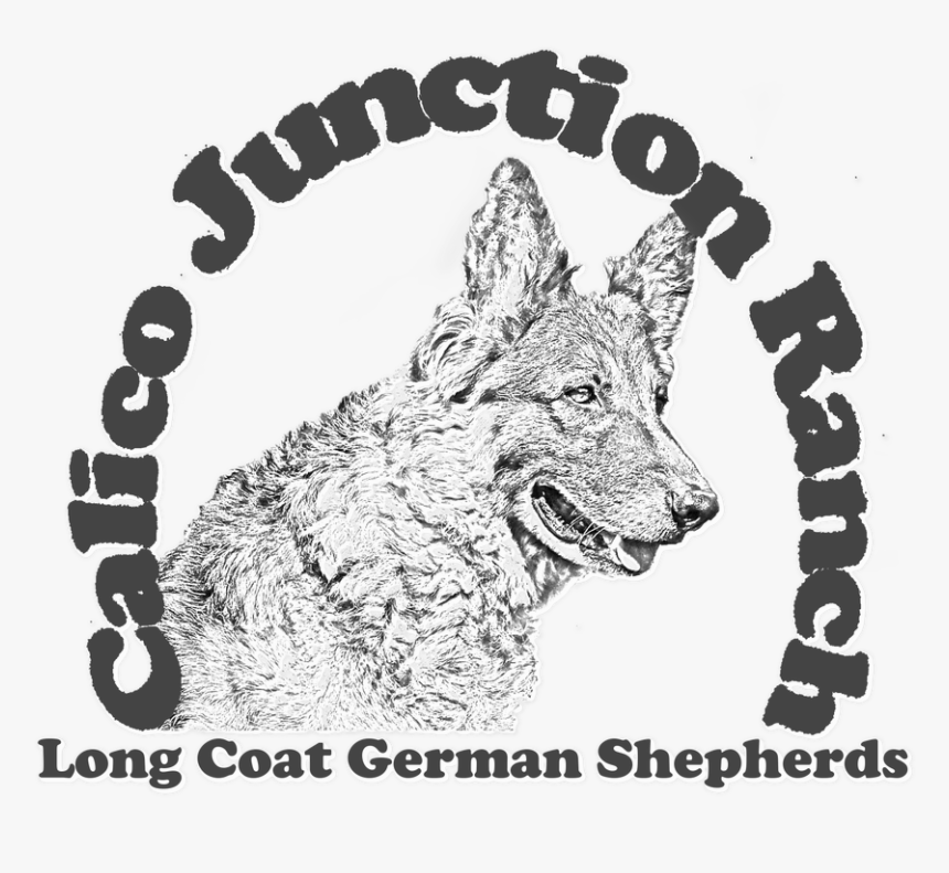 Picture - Hair Trend By Linna, HD Png Download