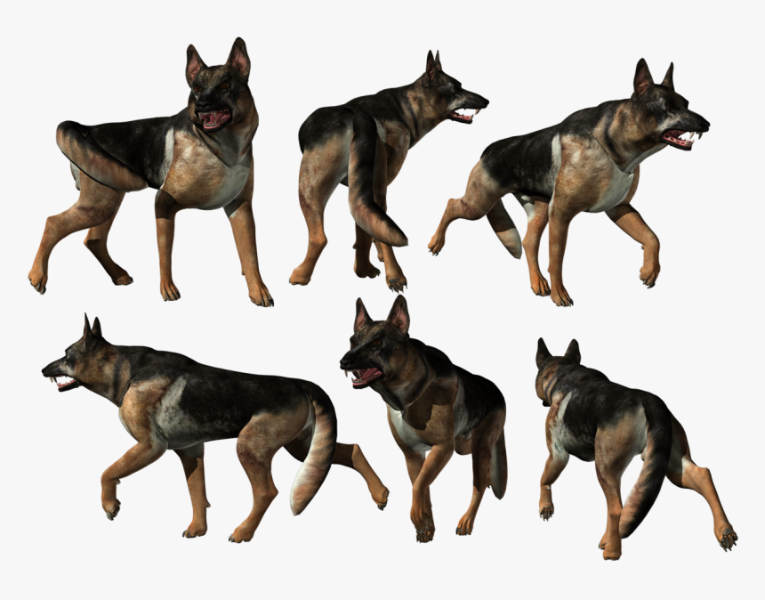 German Shepherd Png - Old German Shepherd Dog, Transparent Png