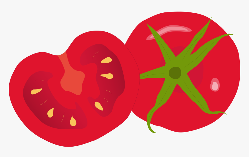 Transparent Basil Clipart - Transparent Tomatoes Clipart, HD Png Download