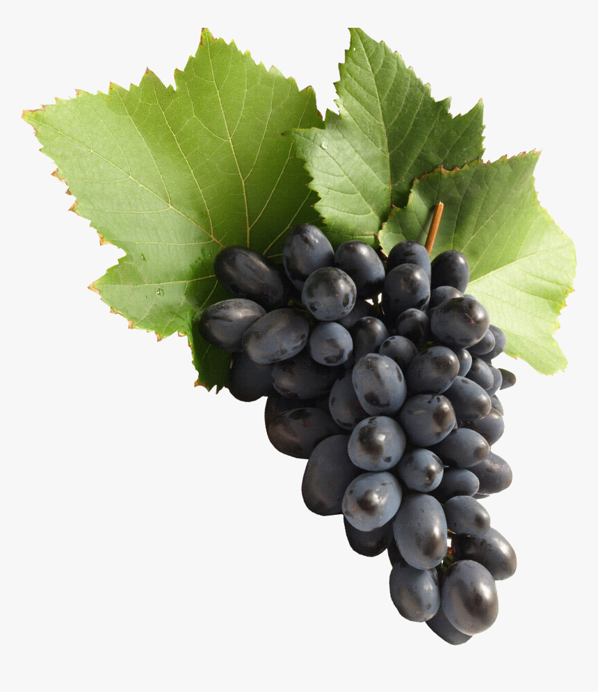 Grapes Png, Transparent Png