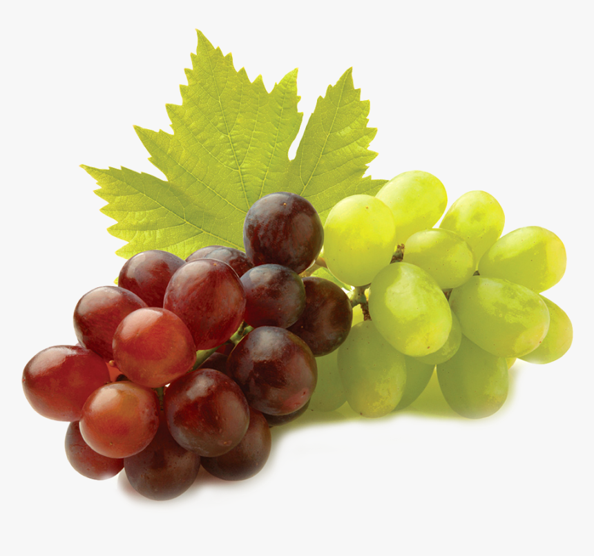 Grape Seed Extracts Gif, HD Png Download
