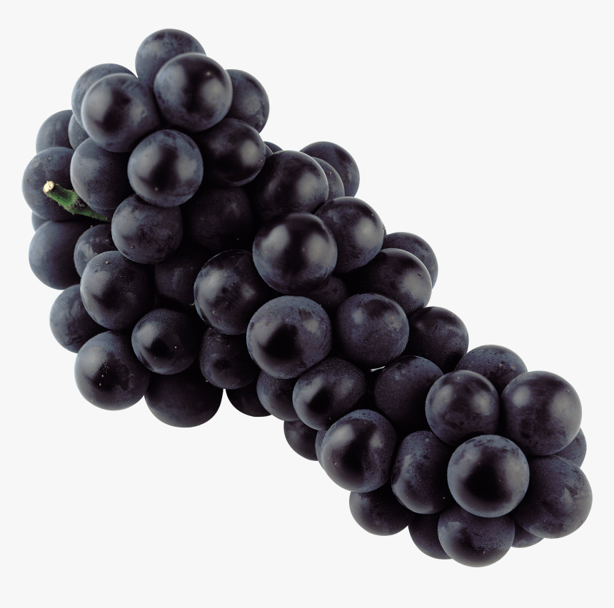 Grapes, Isolated Blue Grape Transparent Png Stickpng - Black Grapes Png, Png Download