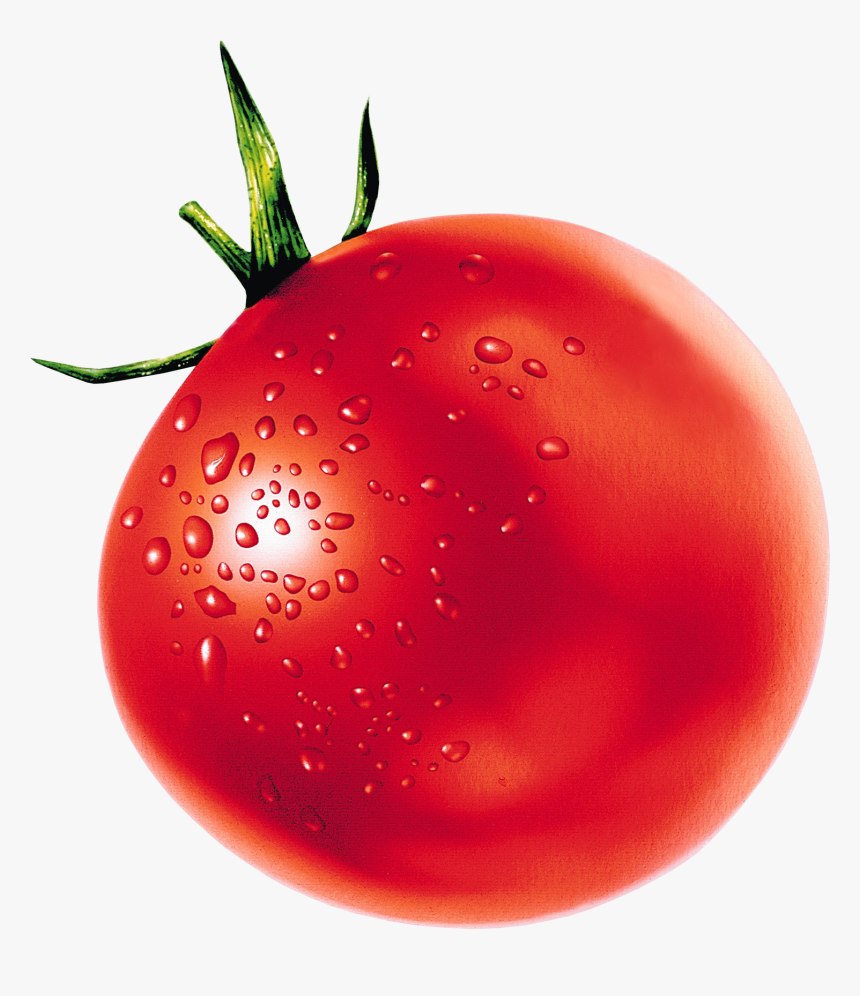 Tomato, HD Png Download