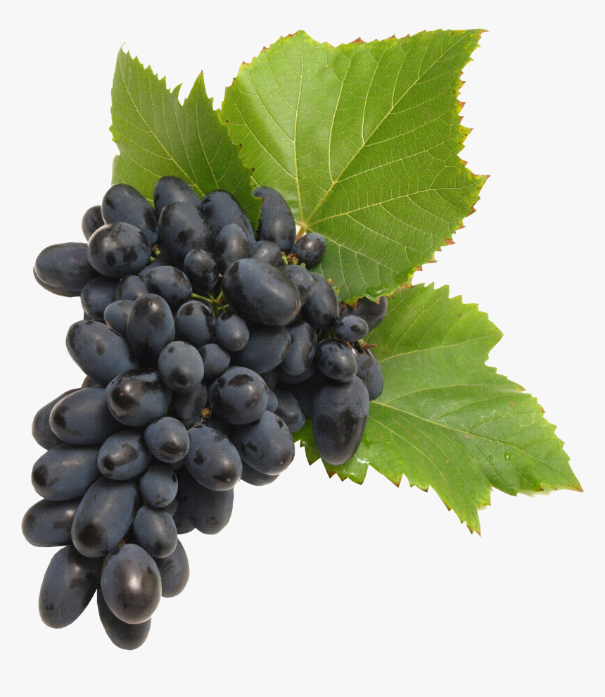Transparent Background Grapes Png, Png Download