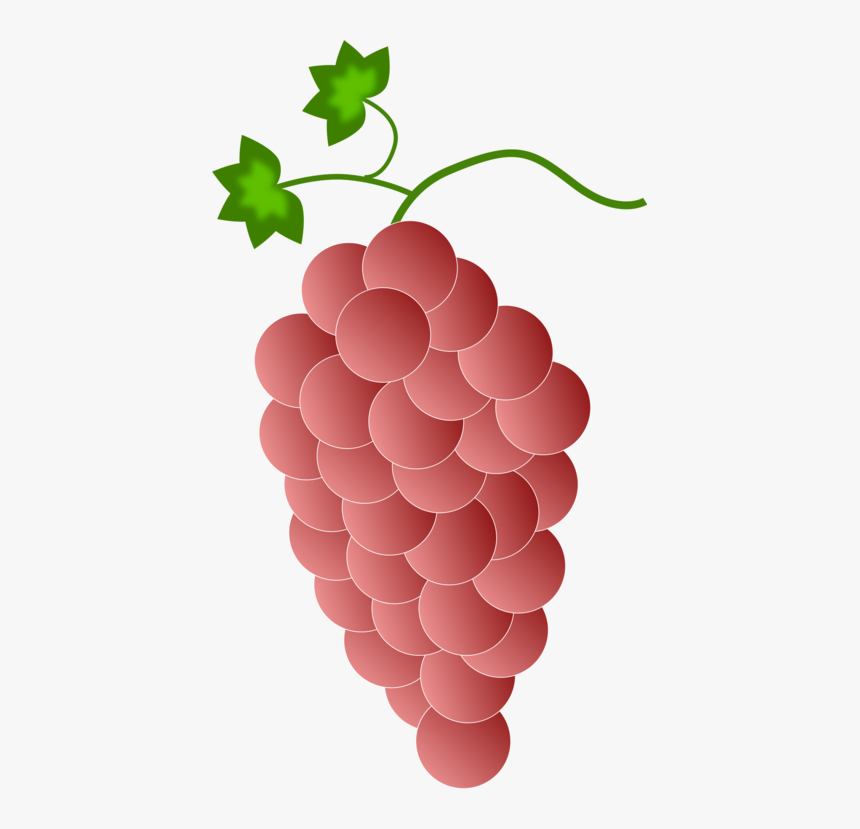 Seedless Fruit,grape Seed Extract,plant - Purple Grapes, HD Png Download
