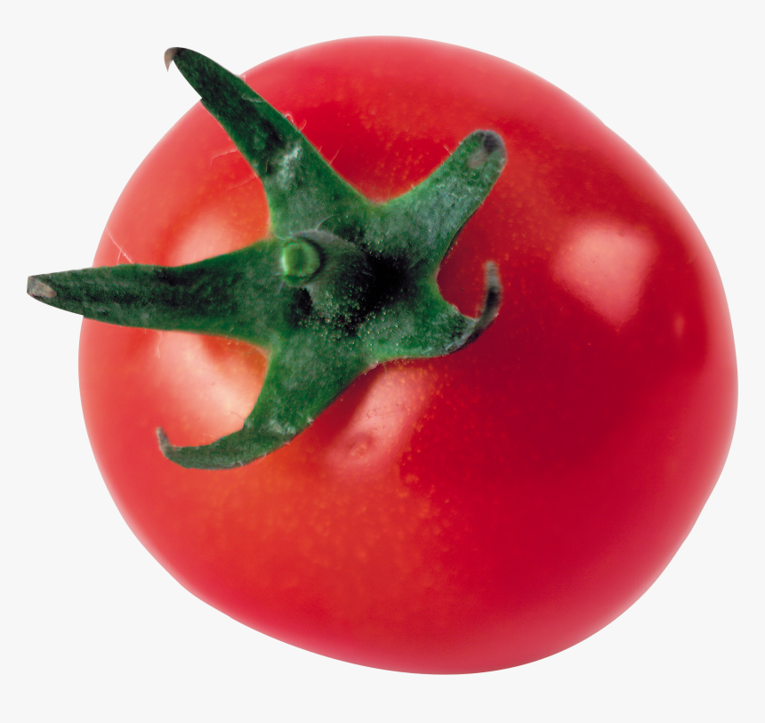One Tomato Png, Transparent Png