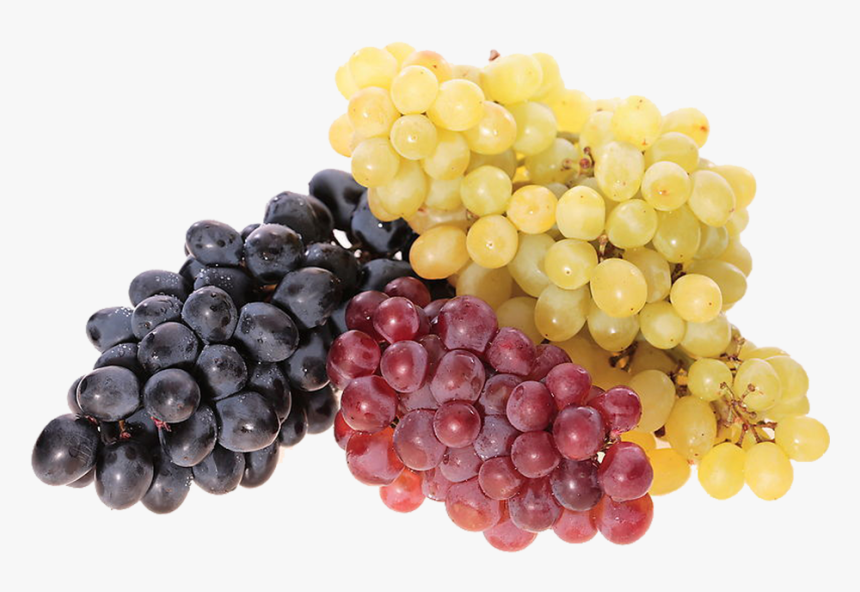 Kisspng Common Grape Vine Juice Wine Berry Red Grape - Полезные Свойства Винограда, Transparent Png