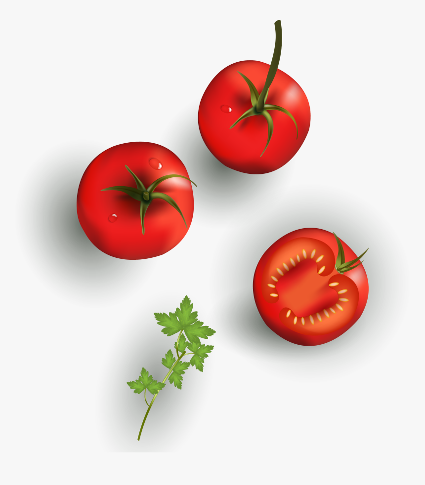 Cherry Tomato Vegetable Drawing Food - Vegetable Drawing With Texture, HD Png Download