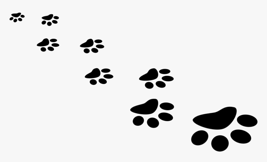 Paw Print Puppy Prints Clipart Free Best Transparent - Paws Png, Png Download