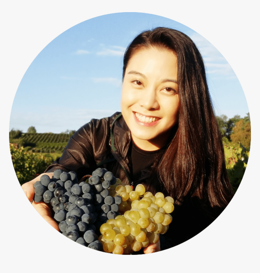 Right At The End Of Harvest For The White Grapes, And - Seedless Fruit, HD Png Download