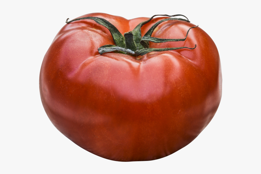 Dreaming Tomatoes, HD Png Download