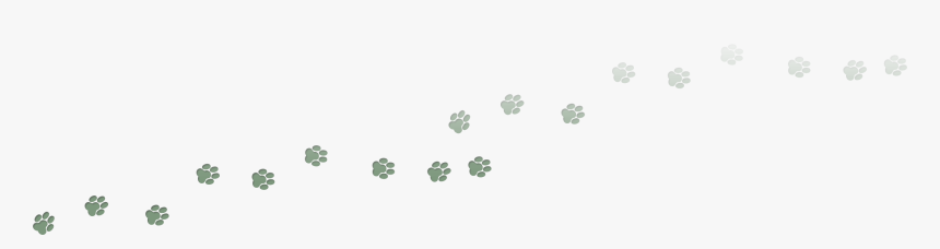 White Paw Prints Png - Cowslip, Transparent Png
