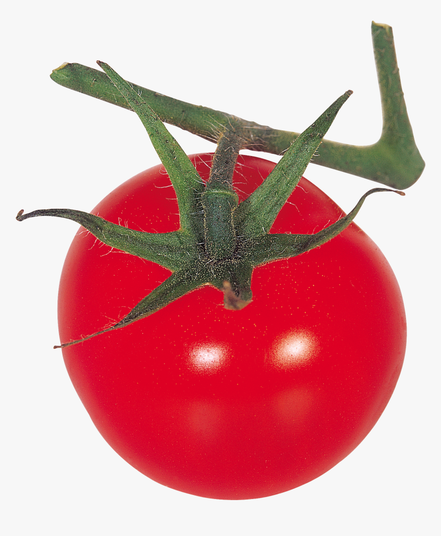 Thirty Eight Isolated Stock - Plum Tomato, HD Png Download