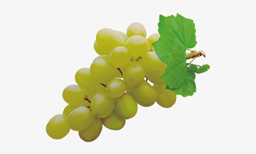 Grapes Png Pic - Grapes Png, Transparent Png