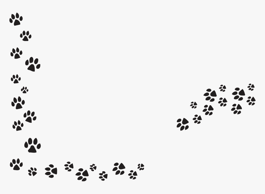 Png Dog Paw - Transparent Dog Paw Prints, Png Download