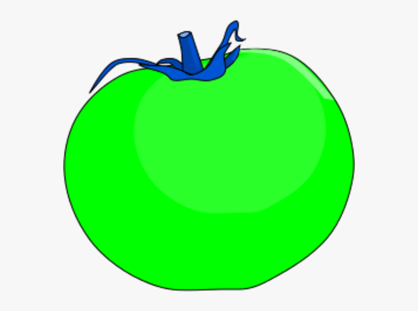 Tomato Vector Clip Art Green Tomatoes Clipart, HD Png Download