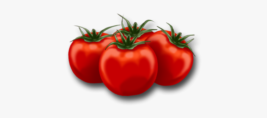 Animated Picture Of Tomatoes, HD Png Download