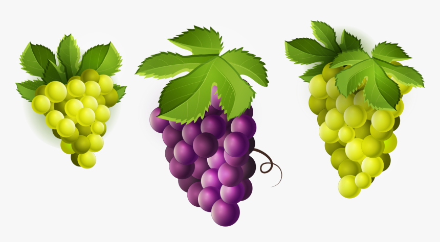 Grape Clipart Png Image - Green Grapes Clip Art, Transparent Png