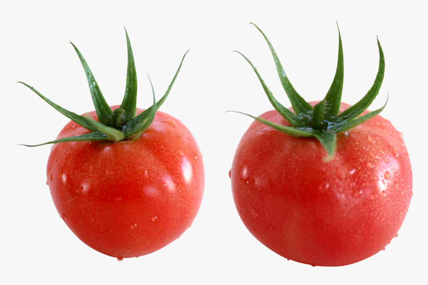 Totmate Transparent, HD Png Download