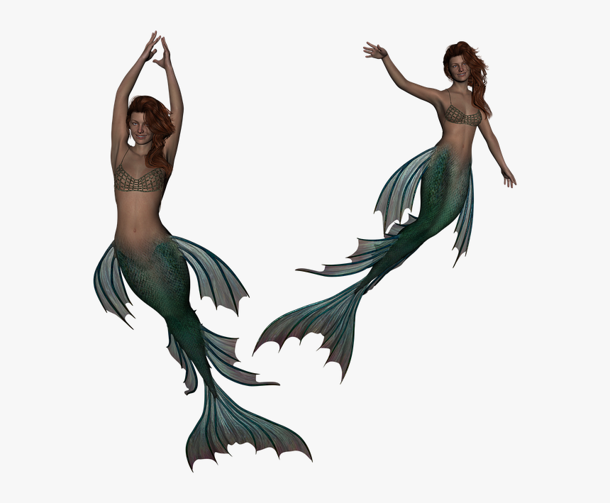 Mermaid And Siren Silhouette, HD Png Download