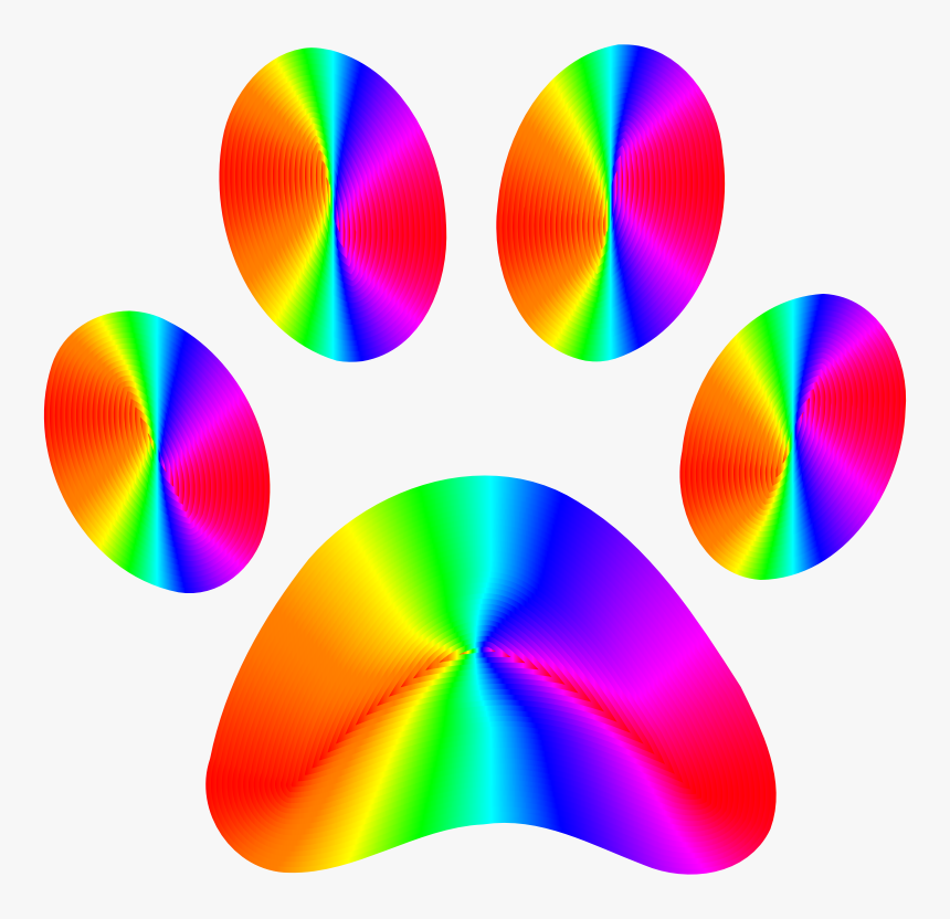 Circle, HD Png Download