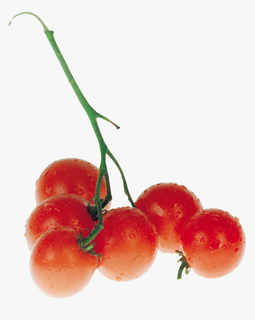 Download And Use Tomato Png Clipart - Tomato, Transparent Png