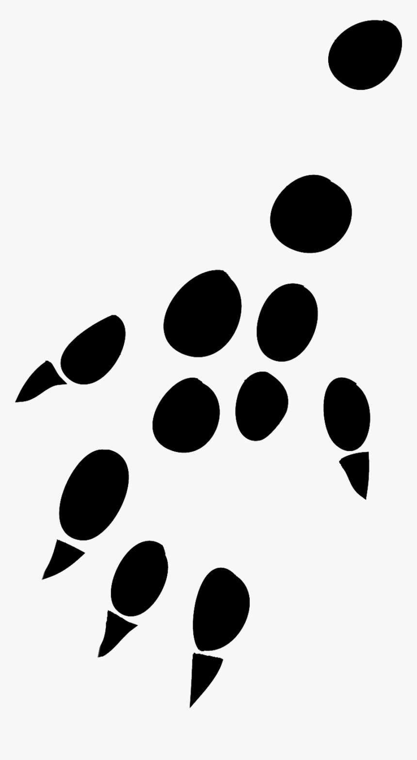 Hedgehog Hind Leg Paw Clipart - Paw, HD Png Download