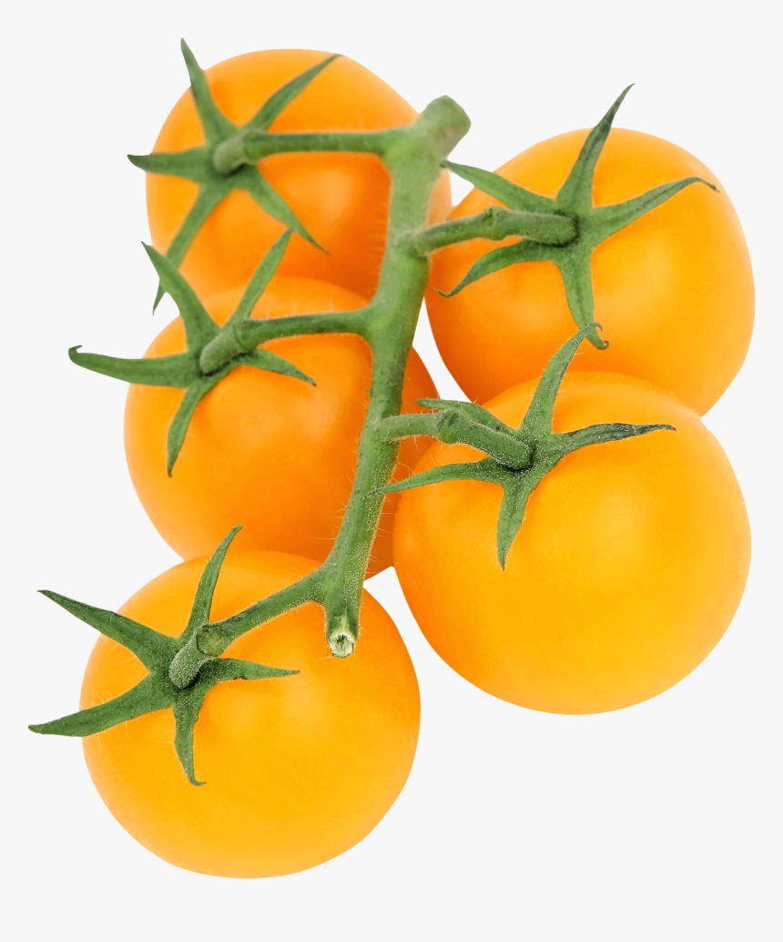 Yellow Tomato Png Transparent Image - Yellow Tomato Png, Png Download