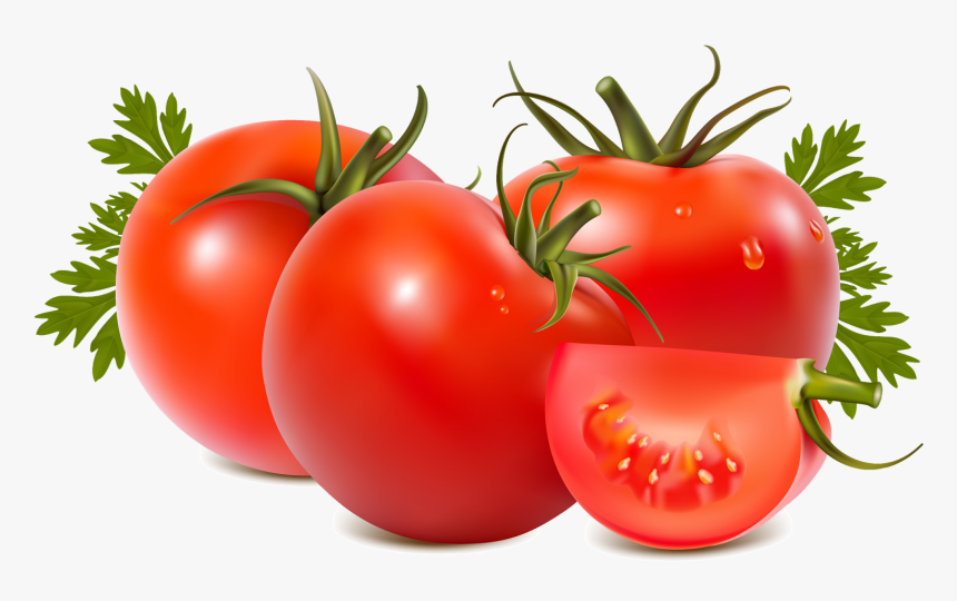 Tomato And Kidney Stone Everyday Life - Tomato Png, Transparent Png