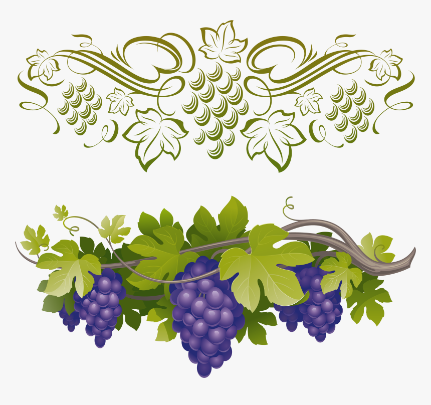 Grapes Border Design