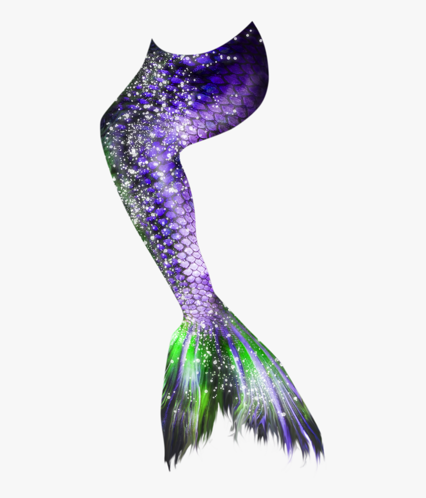 Serpent, HD Png Download