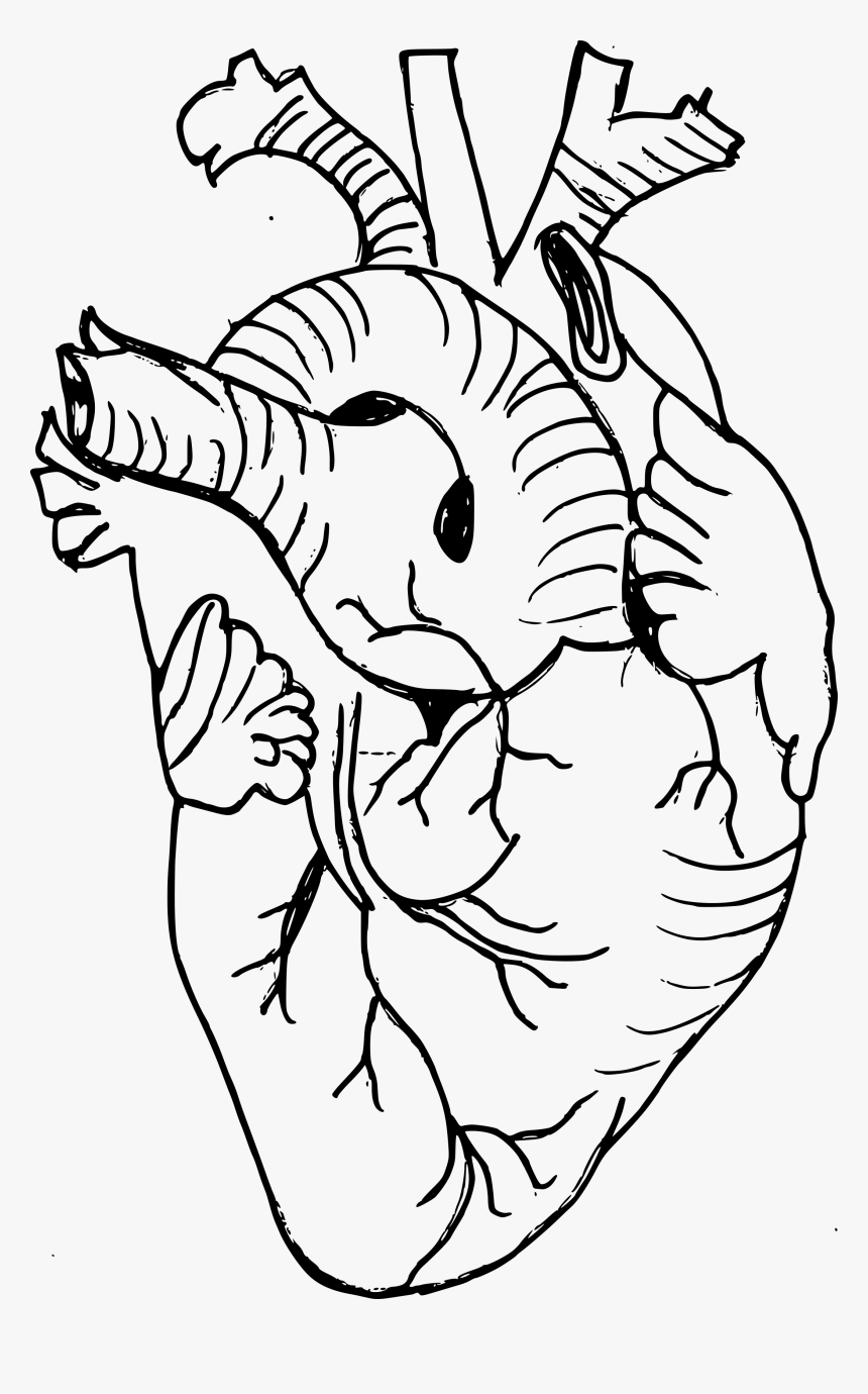 Eye - Real Heart Drawing Png, Transparent Png