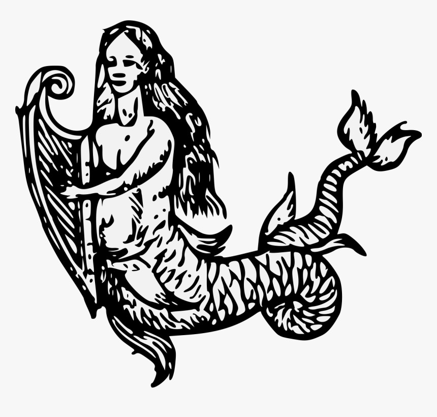Mermaid Heraldry, HD Png Download