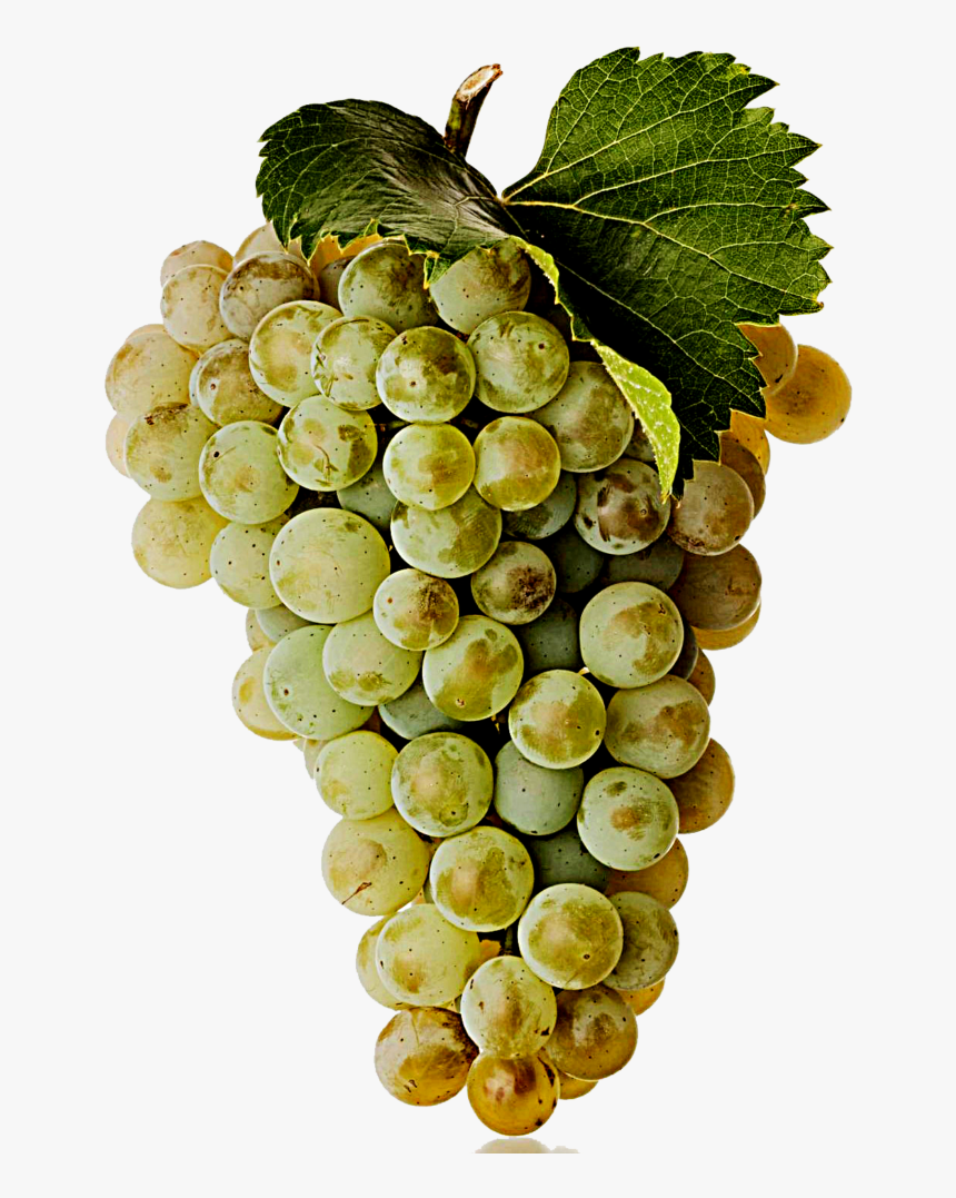 Seedless Fruit, HD Png Download