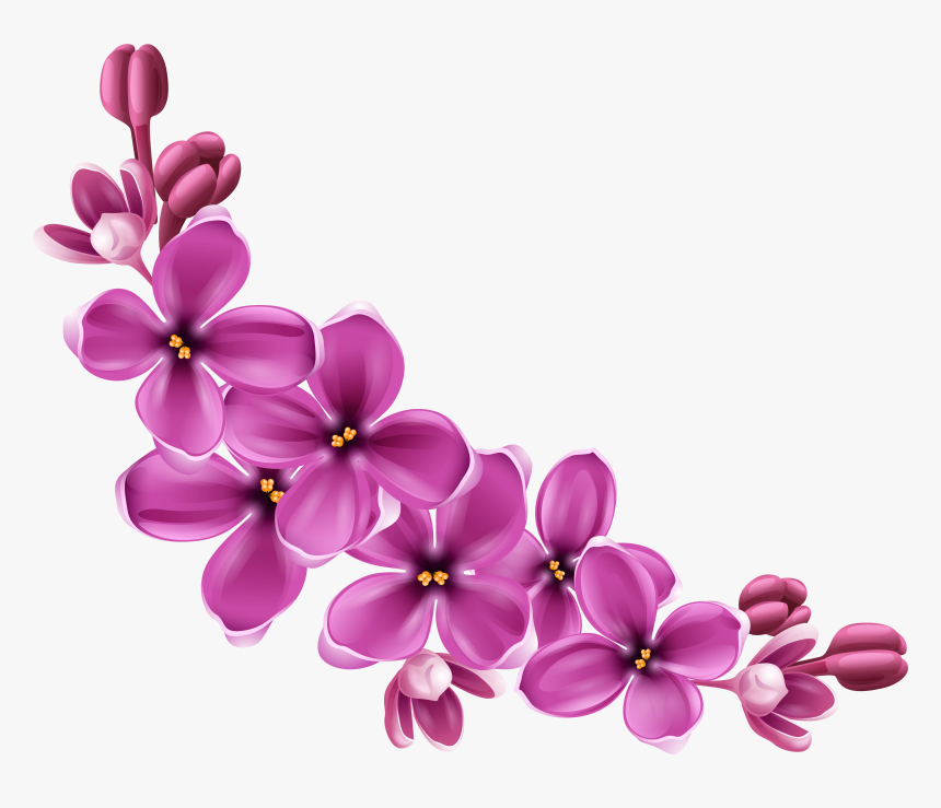 Transparent Background Flowers Png, Png Download