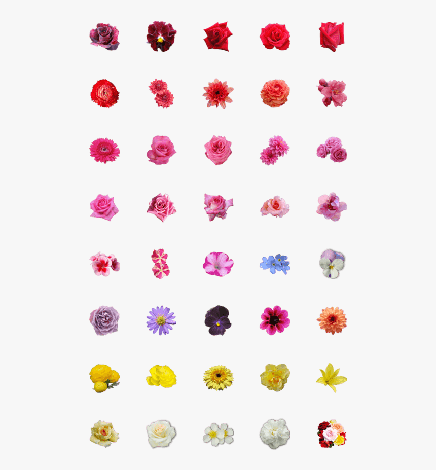 Solkräm Bäst I Test, HD Png Download